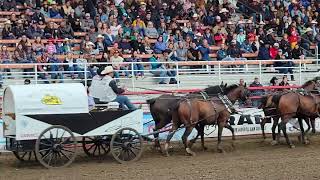 Not Scrap but Ponoka Stampede  Chuckwagon Races [upl. by Aisinoid]