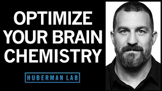 Optimize amp Control Your Brain Chemistry to Improve Health amp Performance  Huberman Lab Podcast 80 [upl. by Manouch779]