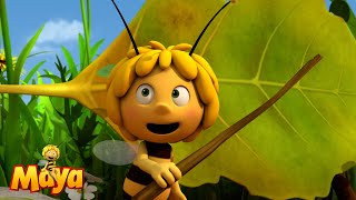 The leaves are in the way  Maya the Bee🐝🍯🐝 [upl. by Ming516]