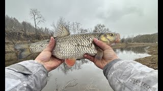 Šapalų žvejyba plūdine meškere [upl. by Lindholm558]