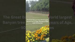 The Great Banyan Tree World largest Banyan tree in India 272 years of Age 1000 of trunk Kolkata [upl. by Born]