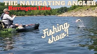 Herrington Lake Kentucky Fishing Trip and Review [upl. by Ellerred964]