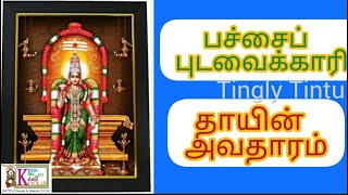 தாயின் அவதாரம் Pachaipudavaikari பச்சைபுடவைக்காரிதினமலர்  ஆன்மீகமலர்  Tingly Tintu Traditional [upl. by Melania]