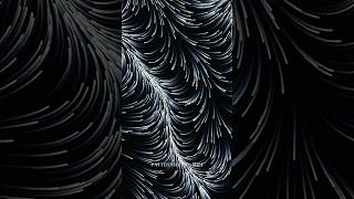 Flow field  generative art creativecoding mathart abstractart [upl. by Jon]