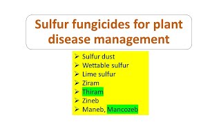 Sulfur fungicides for plant disease management │Thiram │Lime Sulfur│Mancozeb│Sulfur dust │Ziram [upl. by Akenom]