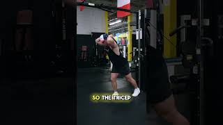 Cable Tricep Overhead Extensions  Exercise Index [upl. by Auhsot]