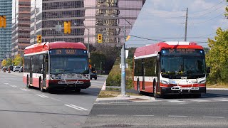 TTC Bus 184 [upl. by Heriberto]