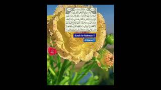 Surah ArRahman ♡  Al Quran ♡  The Straight path  صراط المستقيم [upl. by Bartholomeus]