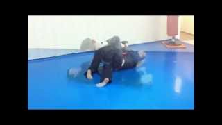 Goshindo en Madrid Montero Budo Kai [upl. by Haret]