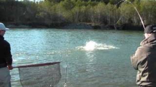 HOT  Coho Fishing  Kitimat River [upl. by Htebiram794]