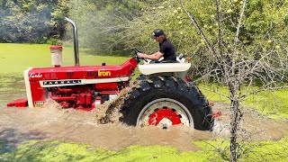 I have 60 days to make this Farmall not exist anymore [upl. by Robb]