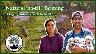 How to grow an organic ‘Notill’ farm that sustains people and rescues animals  Peepal Farms story [upl. by Nerrad]