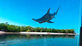 Real VR Fishing RVRF US East DLC Hammerhead [upl. by Ayital]