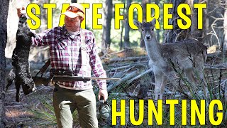 NSW State Forest Goat Deer amp Rabbit Hunting  Goat amp Venison Catch amp Cook On The Fire [upl. by Wiedmann390]