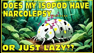 Does My Isopod Have Narcolepsy A Boring Video [upl. by Horatia]