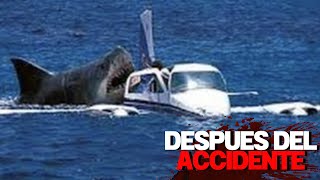 ATERRADORAS Historias de Accidentes Aéreos y sus Secuelas en el Mar [upl. by Ricard]