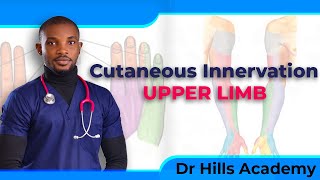 Cutaneous Innervation of the Upper Limb  Made Easy [upl. by Coppins678]