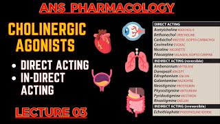 Cholinergic Agonists  Parasympathomimetic Drugs  Direct Acting amp indirect acting  L3 [upl. by Tani]