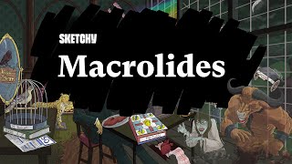 Comprehensive Guide to Macrolides and Their Uses Part 1  Sketchy Medical  USMLE Step 1 [upl. by Vallo]