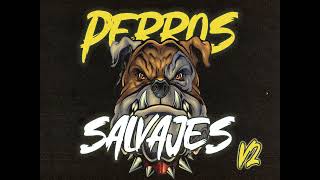 PERROS SALVAJES V2 rkt [upl. by Iaoh]