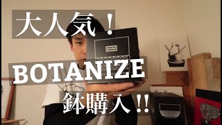 【塊根植物】みんな大好き！大人気のBOTANIZEの鉢が売っていたので衝動買いしてみたっていう動画【BOTANIZE】【コーデックス】 [upl. by Beauvais]