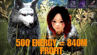 BDO Life Skill Gathering  Wolf Blood Guide  500 ENERGY 840M PROFİT 2024 [upl. by Irdua]