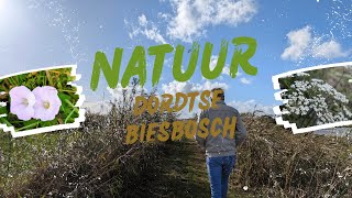 Nature In Dordtse Biesbosch 2 Cinematic [upl. by Kirkpatrick]