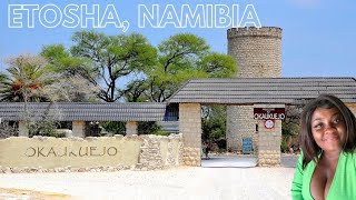 Eps 4  Etosha National Park  The Okaukuejo Vlog 📍 Room Tour  The service🥴 namibia [upl. by Preciosa]