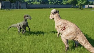 Pachycephalosaurus VS Velociraptor  Jurassic World Evolution [upl. by Carolyn26]