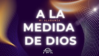 🔴 Servicio NACE  quotMi alabanza a la medida de Dios” Pr Andrés P  Sábado 16 de Nov 2024  PARTE 1 [upl. by Naerda]