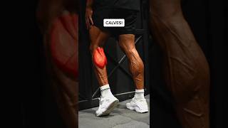 Build calf bigger with these exercises shorts fitness gym [upl. by Namus173]