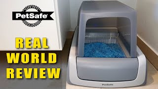 How Good Is The PetSafe Scoop Free Litter Box 8 Years Later [upl. by Sauls]