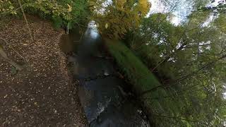 Am Wasserlauf Insta360x2 [upl. by Monaco]