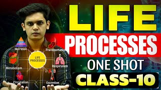 Life Processes Complete Chapter🔥 CLASS 10 Science  NCERT Covered Prashant Kirad [upl. by Nasho758]