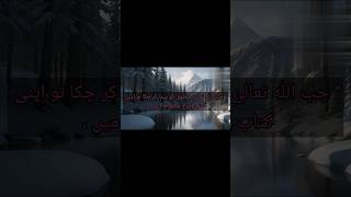 blessing vs bile of Allah 🔥☔📢 yt shorts hadeesshraif ytshorts [upl. by Hieronymus647]