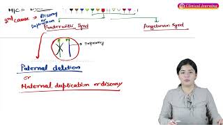 Genetics Part2 Pathology Hindi Lectures [upl. by Paquito]