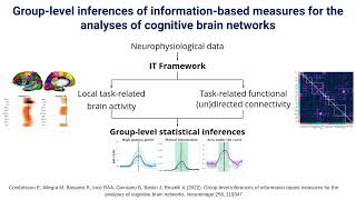 Brain Networks Analysis using Information Theory Part 12 [upl. by Tarton]