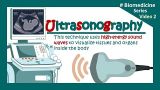 Ultrasonography  USG  The Principles of Ultrasound Imaging  Clinical application of USG  Biology [upl. by Wallas595]