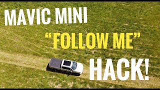 Mavic Mini Active Track HACK  Litchi Review [upl. by Hannibal]