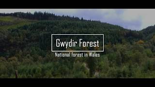 Magical Gwydyr Forest National forest in Wales [upl. by Dragone739]