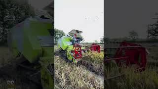 04 farming trending tractor tractorlife farming agriculture shorts harvesting telugu [upl. by Wester874]