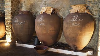 Honrado Vineyards specialising in amphora wine [upl. by Levina]