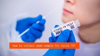 Coronavirus Test How to collect nasal swab for Covid19 [upl. by Nnaihs]