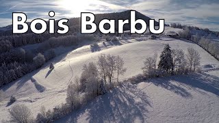 Bois Barbu [upl. by Nesaj]