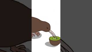 Kiwi eats kiwi Animation testanimation [upl. by Cassey778]