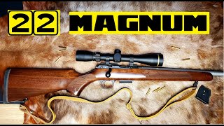 22 MAGNUM My favorite small game cartridge [upl. by Heathcote]