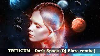 TRITICUM  Dark Space  Dj Flare remix [upl. by Younger]