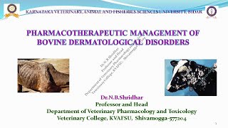 PHARMACOTHERAPEUTIC MANAGEMENT OF BOVINE DERMATOLOGICAL DISORDERS BY DR N B SHRIDHAR [upl. by Katha]