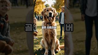 세상에서 가장 똑똑한 견종 Top 10Top 10 smartest dog breeds in the world [upl. by Etteloc790]