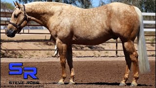 SOLD SPOOKD Kobe [upl. by Consolata]